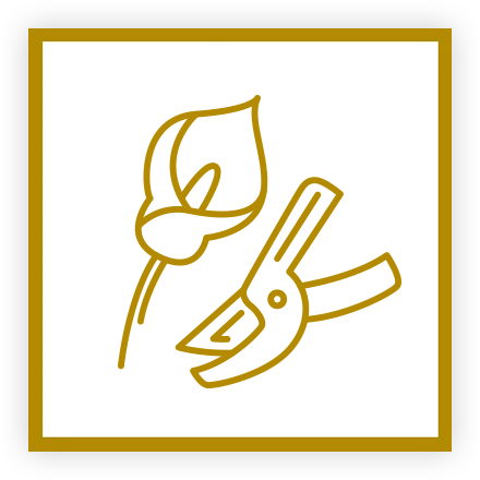 Formatrice agréée de l'Association Française des Fleuristes Formatrice agréée de l'Association Française des Fleuristes